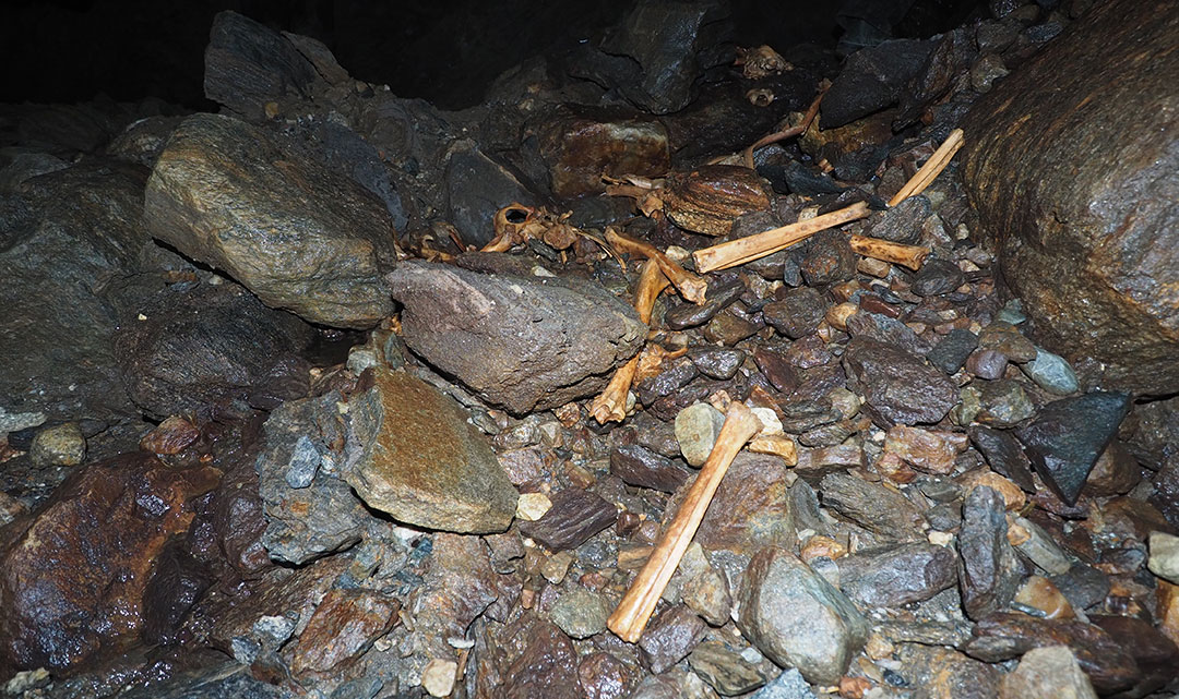 Bilde av beinrester i ei grotte